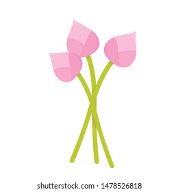 Lotus bud vector. wallpaper. free space for text. copy space. Lotus flower.