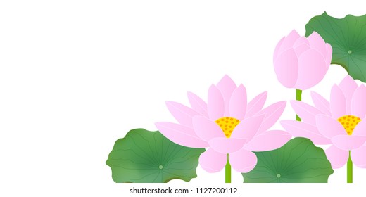 Lotus Buddha flower background