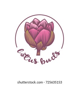 lotus buds, lotus logo - vector illustration