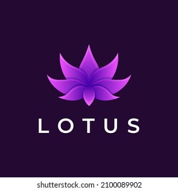 lotus color gradient logo design
