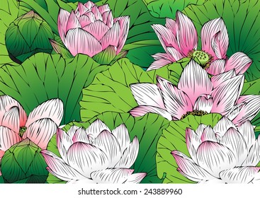 Lotus colorful background vector drawing and text messages