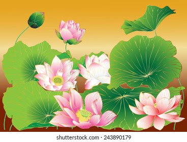 Lotus colorful background vector drawing and text messages. health care and products, yoga center. Can be used as greeting card or wedding invitation. With place for text