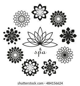 Lotus design template for spa, yoga, health care style logos. Logo lotus, floral flower lotus, icon lotus flora template. Vector illustration