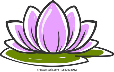 Lotus drawing, illustration, vector on white background.