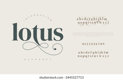 Lotus elegante Schriftart Groß- und Kleinschreibung und Zahl. Klassischer Schriftzug Minimale Modedesigns. Typografie moderne Serif-Schriftarten regelmäßige dekorative Vintage-Konzept. Vektorillustration