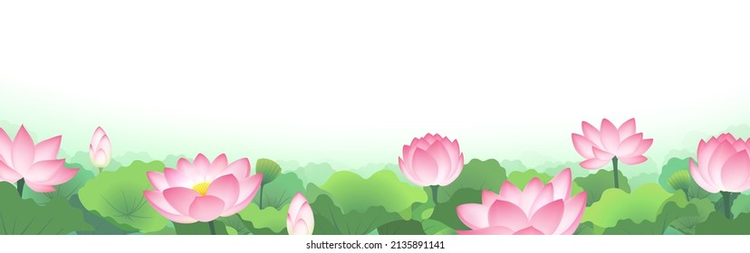 The lotus field, isolated on the white background