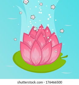 lotus flower