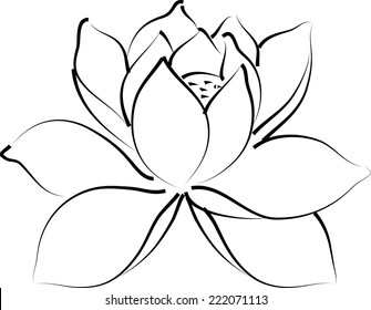 lotus flower