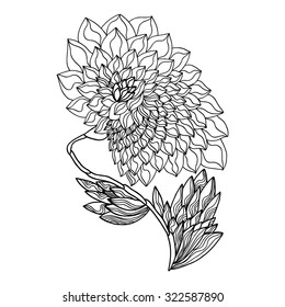 Lotus Flower