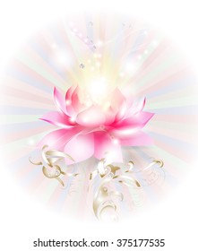 Lotus flower
