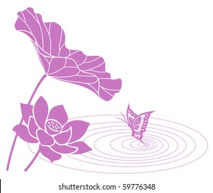 lotus flower