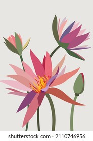 lotus flower background.Eps 10 vector.