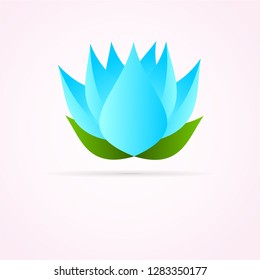 lotus flower beauty blue vector