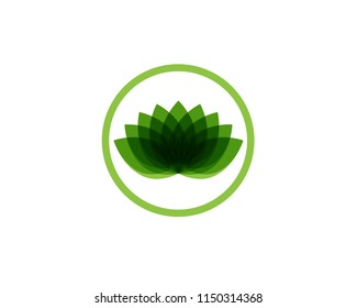 Lotus flower beauty logo and symbol vector