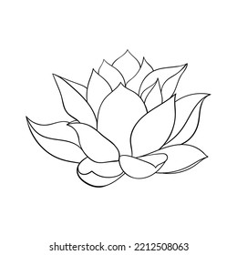 Lotus flower big bud. simple drawing of a lotus with curved petals.