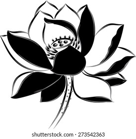 Lotus Flower Black White Stock Vector (Royalty Free) 273542363