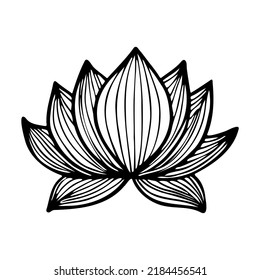 Lotus flower in black and white doodle style as icon for tattoo