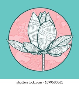 Lotus Flower Blossom, Hand Drawn Illustration, Isolated Vector