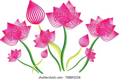 lotus flower bouquet vector