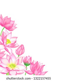 Lotus flower bouquets with buds isolated on white vector illustration. Pink open flowers and lotus buds. Beautiful blossom bouquets for invitation and greeting cards.