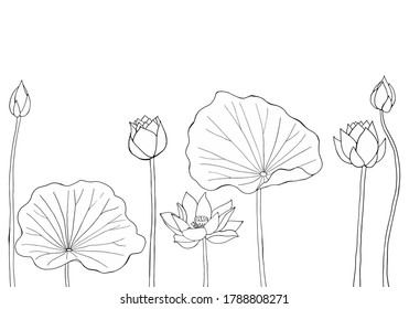 página de color de flores de Lotus para adultos. Estilo vectorial de arte de línea aislado en fondo blanco