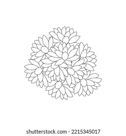 lotus flower coloring page of simplicity artistic drawn with blossom flower on isolated background. hand drawing water lily flower with decorative line art design for print.