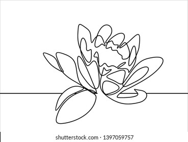 Lotus Flower Continuous Line Drawing