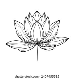 Lotus flower continuous line drawing