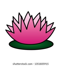 lotus flower decoration