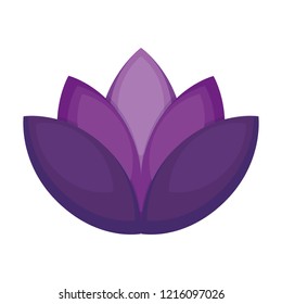 lotus flower design