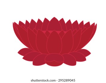 Lotus Flower Design