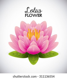 lotus flower design, vector illustration eps10 graphic 
