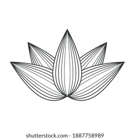 lotus flower drawn isolated icon vector illustration design