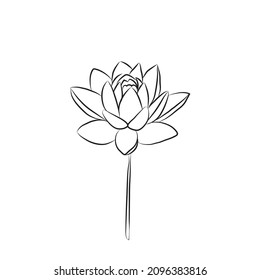 The lotus flower is drawn with a line. Water lily isolate. Doodle drawing lotus for invitations, stamps or business cards