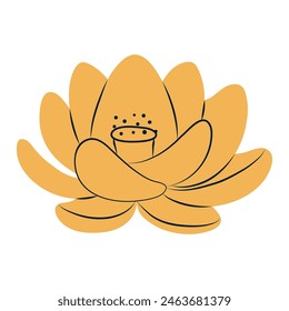 Lotus flower flat hand drawn illustration. Dragon Boat Festival, Mid Autumn Festival, traditional holiday clip art, card, banner, poster element. Asian style design, isolated vector.