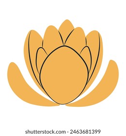 Lotus flower flat hand drawn illustration. Dragon Boat Festival, Mid Autumn Festival, traditional holiday clip art, card, banner, poster element. Asian style design, isolated vector.