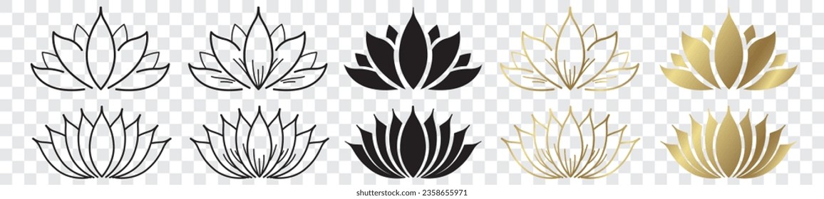 Lotus Flower Gold Black Illustration background vector