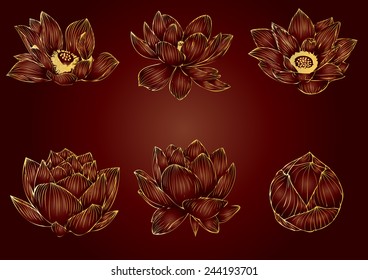 Lotus flower graphics vector gold stripes for background and text