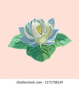 Lotus flower with green leaves close-up in hand drawn style pastel colors.Realistic vector lily, waterlily isolated on pink background