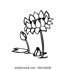 Lotus flower, hand draw vector illustration