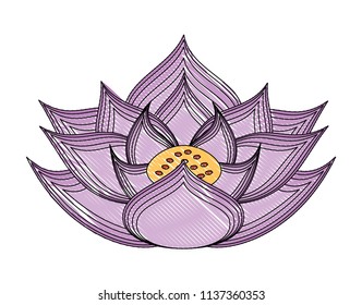 lotus flower icon