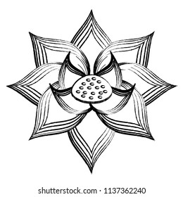 lotus flower icon