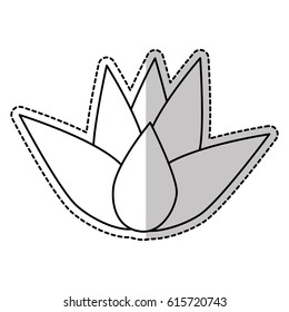 lotus flower icon