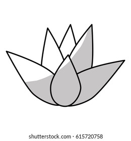 lotus flower icon
