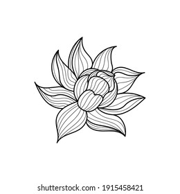 白黒の背景に花のハス 白い背景に ベクターイラスト のベクター画像素材 ロイヤリティフリー