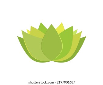 Lotus (flower) Icon. Vector Illustration. SPA Salon