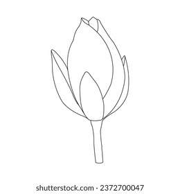 Lotus flower icon vector illustration symbol design