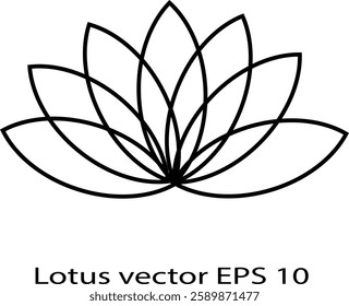 Lotus Flower icon vector on white background