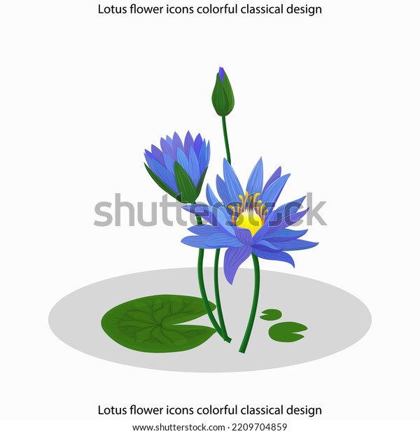 Lotus Flower Icons Colorful Classical Design Stock Vector Royalty Free 2209704859 Shutterstock 0430