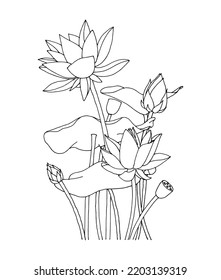 Lotus Flower Illustration, Hand Drawn Botanical, Isolated Vector